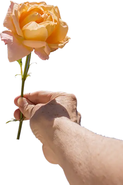 Imagem de uma mão oferecendo uma rosa
